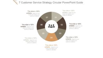7 Customer Service Strategy Circular Ppt PowerPoint Presentation Rules