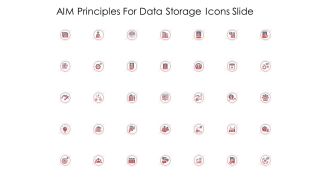 AIM Principles For Data Storage Icons Slide Ppt Gallery Graphics Example PDF