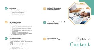 API Management Market Table Of Content Icons PDF