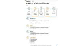 About Our Company Development Services One Pager Sample Example Document
