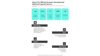About Our Efficient Business Development Methods Proposal Service One Pager Sample Example Document