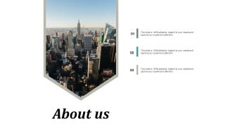 About Us Ppt PowerPoint Presentation Icon Layouts