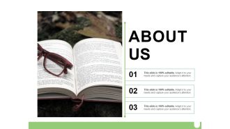 About Us Ppt PowerPoint Presentation Layouts Designs