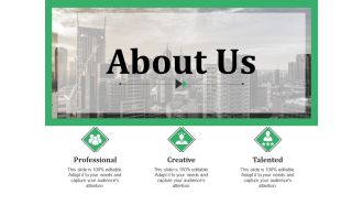 About Us Ppt PowerPoint Presentation Slides Guidelines