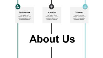 About Us Professional Ppt PowerPoint Presentation Model Infographic Template