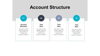 Account Structure Ppt PowerPoint Presentation Inspiration Example File Cpb