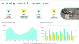 Accounting Current Ratio Assessment Sheet Ppt PowerPoint Presentation Portfolio Examples PDF