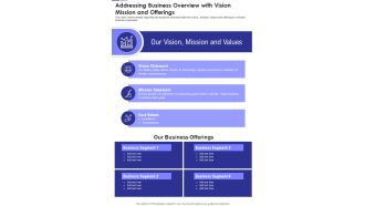 Addressing Business Overview With Vision Mission And Offerings Template 217 One Pager Documents