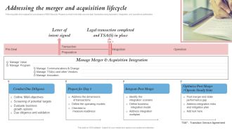 Addressing The Merger And Acquisition Lifecycle Merger And Integration Procedure Playbook Microsoft PDF