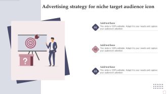 Advertising Strategy For Niche Target Audience Icon Ppt PowerPoint Presentation Summary Visuals PDF