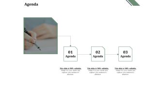 Agenda Checklist Ppt PowerPoint Presentation Icon Guide