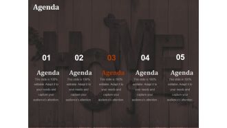 Agenda Ppt PowerPoint Presentation Gallery Examples