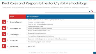 Agile Crystal Method Real Roles And Responsibilities For Crystal Methodology Topics PDF