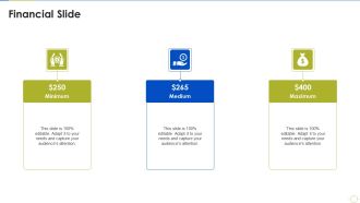 Agile Project Budget Estimation IT Financial Slide Sample PDF
