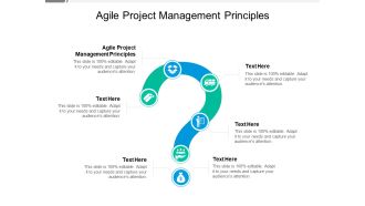 Agile Project Management Principles Ppt PowerPoint Presentation Infographic Template Example Cpb