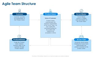 Agile Project Planning Agile Team Structure Ppt Summary Gridlines PDF