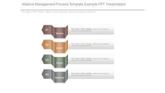 Alliance Management Process Template Example Ppt Presentation
