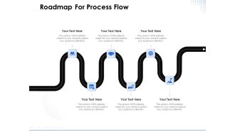 Amusement Event Coordinator Roadmap For Process Flow Ppt PowerPoint Presentation Summary Show PDF
