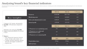 Analyzing Brands Key Financial Indicators Ppt Infographic Template Slides PDF