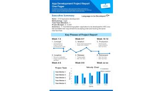 App Development Project Report One Pager PDF Document PPT Template