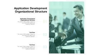 Application Development Organizational Structure Ppt PowerPoint Presentation Summary Examples Cpb Pdf