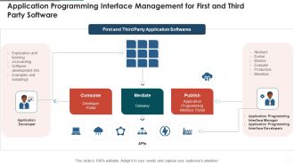Application Programming Interface Management For First And Third Party Software Download PDF