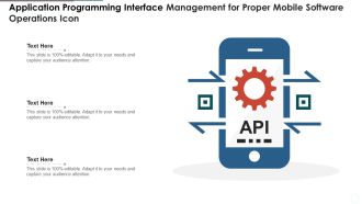 Application Programming Interface Management For Proper Mobile Software Operations Icon Graphics PDF