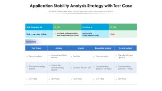 Application Stability Analysis Strategy With Test Case Ppt PowerPoint Presentation File Styles PDF