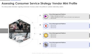 Assessing Consumer Service Strategy Vendor Mini Profile Portrait PDF