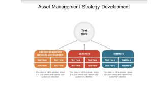 Asset Management Strategy Development Ppt PowerPoint Presentation Model Graphics Example Cpb