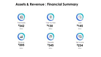 Assets And Revenue Financial Summary Ppt PowerPoint Presentation File Example Introduction