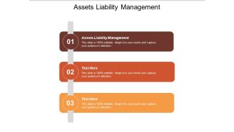 Assets Liability Management Ppt PowerPoint Presentation Show Visuals