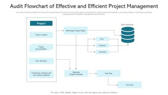 Audit Flowchart Of Effective And Efficient Project Management Ppt PowerPoint Presentation File Demonstration PDF