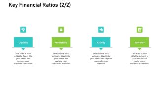 Audit For Financial Investment Key Financial Ratios Liquidity Pictures PDF