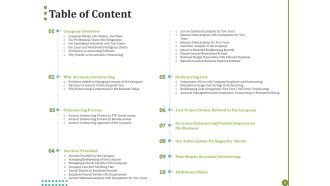 BPO For Managing Enterprise Financial Transactions Table Of Content Professional PDF