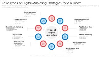 Basic Types Of Digital Marketing Strategies For A Business Ppt Professional Guide PDF