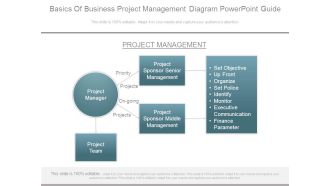 Basics Of Business Project Management Diagram Powerpoint Guide