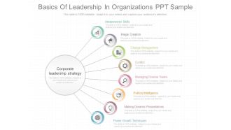Basics Of Leadership In Organizations Ppt Sample