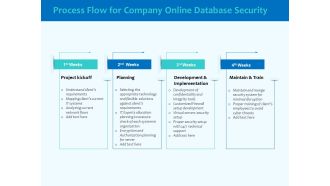 Best Data Security Software Process Flow For Company Online Database Security Elements PDF