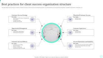 Best Practices For Client Success Organization Structure Professional PDF