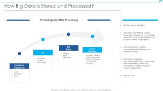 Big Data Architect How Big Data Is Stored And Processed Sample PDF