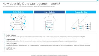 Big Data Architect How Does Big Data Management Works Guidelines PDF