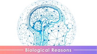 Biological Causes Behind Biases In Humans Training Ppt