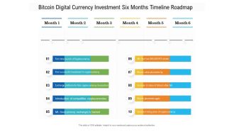 Bitcoin Digital Currency Investment Six Months Timeline Roadmap Diagrams
