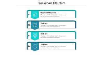 Blockchain Structure Ppt PowerPoint Presentation Summary Gallery Cpb