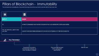 Blockchain Technology Framework IT Pillars Of Blockchain Immutability Professional PDF