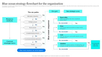 Blue Ocean Plan Of Tesla Blue Ocean Strategy Flowchart For The Organization Infographics PDF