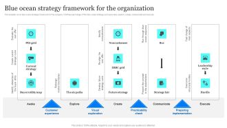 Blue Ocean Plan Of Tesla Blue Ocean Strategy Framework For The Organization Rules PDF
