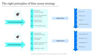 Blue Ocean Plan Of Tesla The Eight Principles Of Blue Ocean Strategy Topics PDF