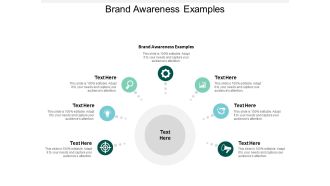 Brand Awareness Examples Ppt PowerPoint Presentation Portfolio Visual Aids Cpb